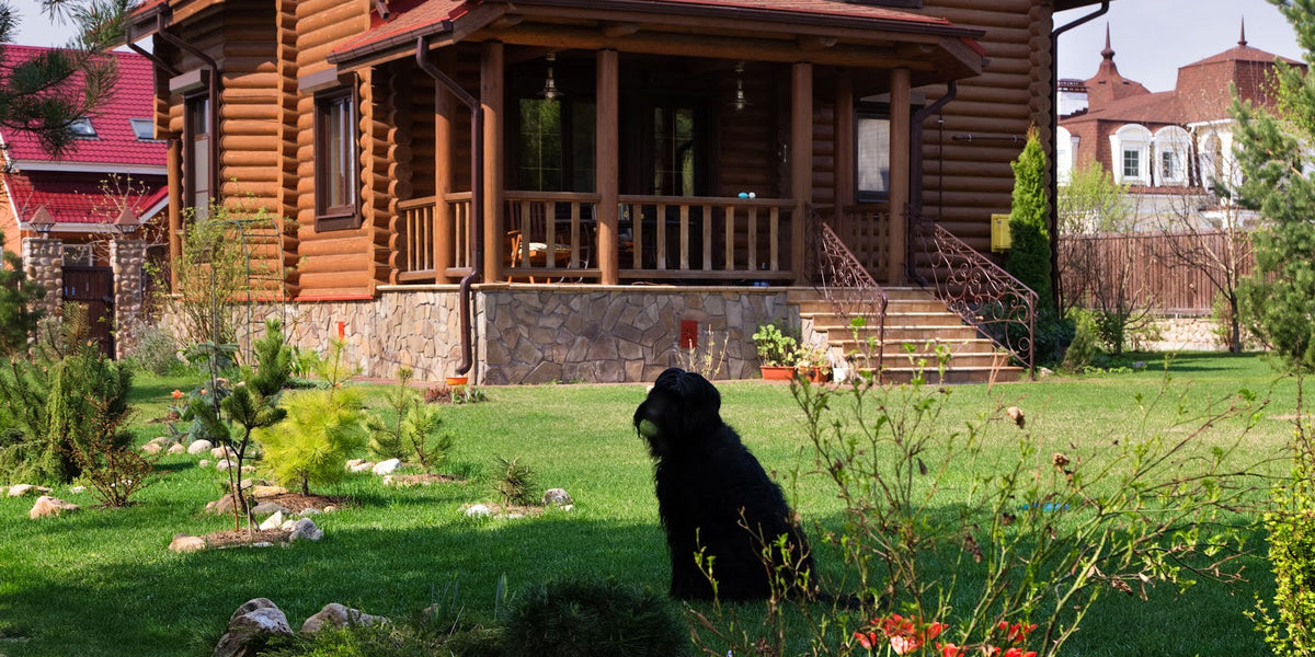 View of Keeping Your Pet Safe at Home | THSS
