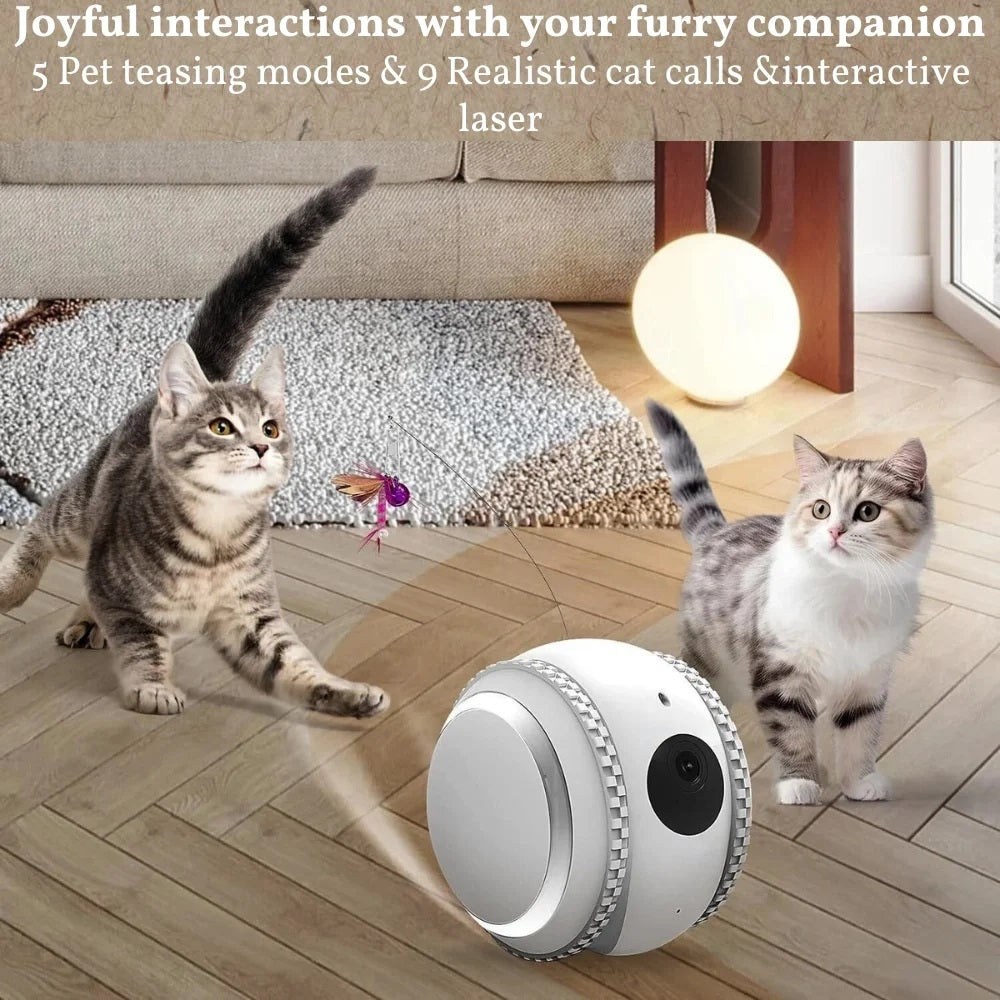 Pet's joyful interactions with pet teasing models, cat calls and interactive laser from SpyWfi Rolling Petpal Robot Night Vision Security Camera 4K UHD WiFi