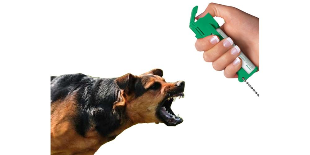 Dog pepper spray