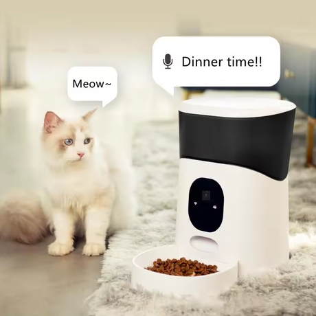 Cute photo of a cat next to its SpyWfi Automatic Pet Feeder Security Camera 1080p notifying dinner time