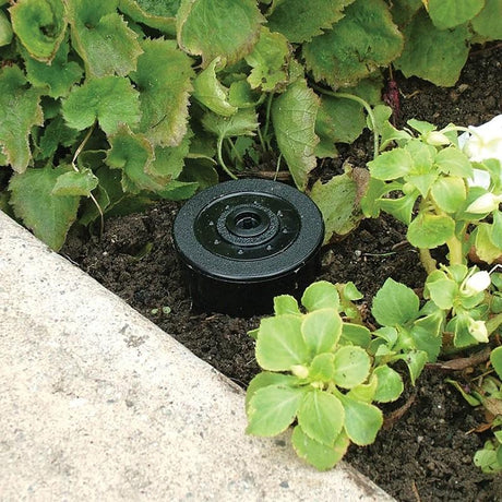 Fake Sprinkler Spare Key Hider Safe buried in garden soil