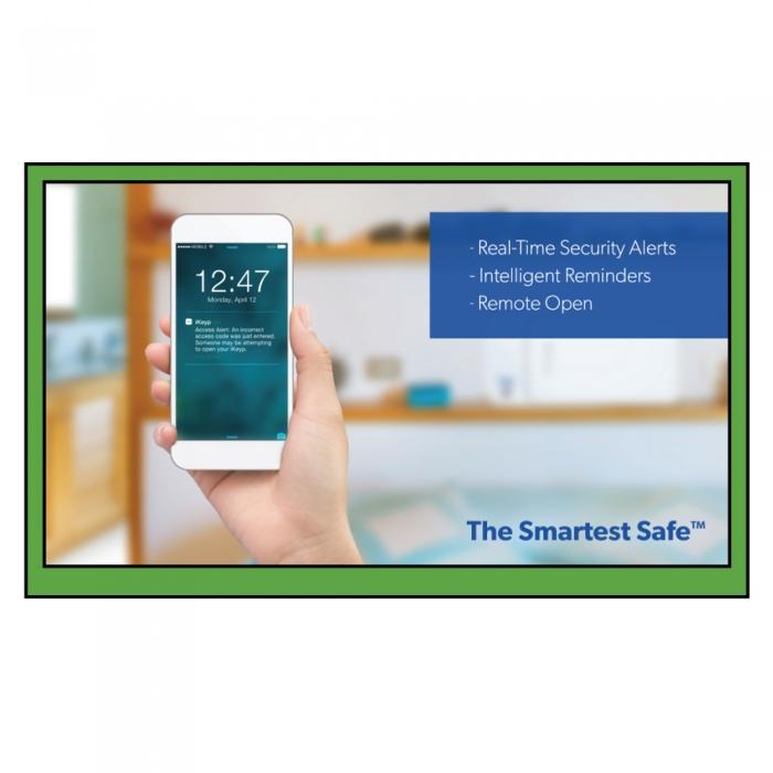 iKeyp® PRO WiFi Smart 24/7 Remote Access Wall Safe
