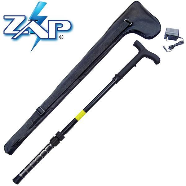 a full set of the ZAP Rechargeable LED Stun Gun Walking Cane with its holster and charger